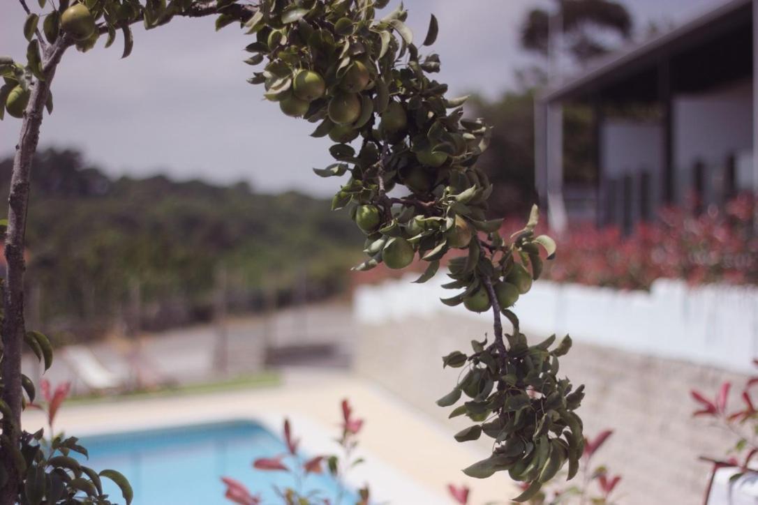 Madera Y Mar Apartment Isla Plana Екстериор снимка